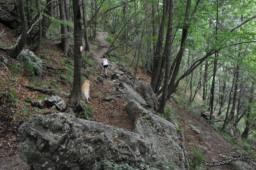 026 Periplo e vetta Monte Alben la Croce.JPG